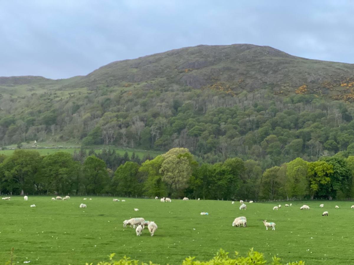 Tig Cottage - A Rural, Quirky, Pet Friendly 2 Bedroom Cottage Near Ballantrae Exterior foto