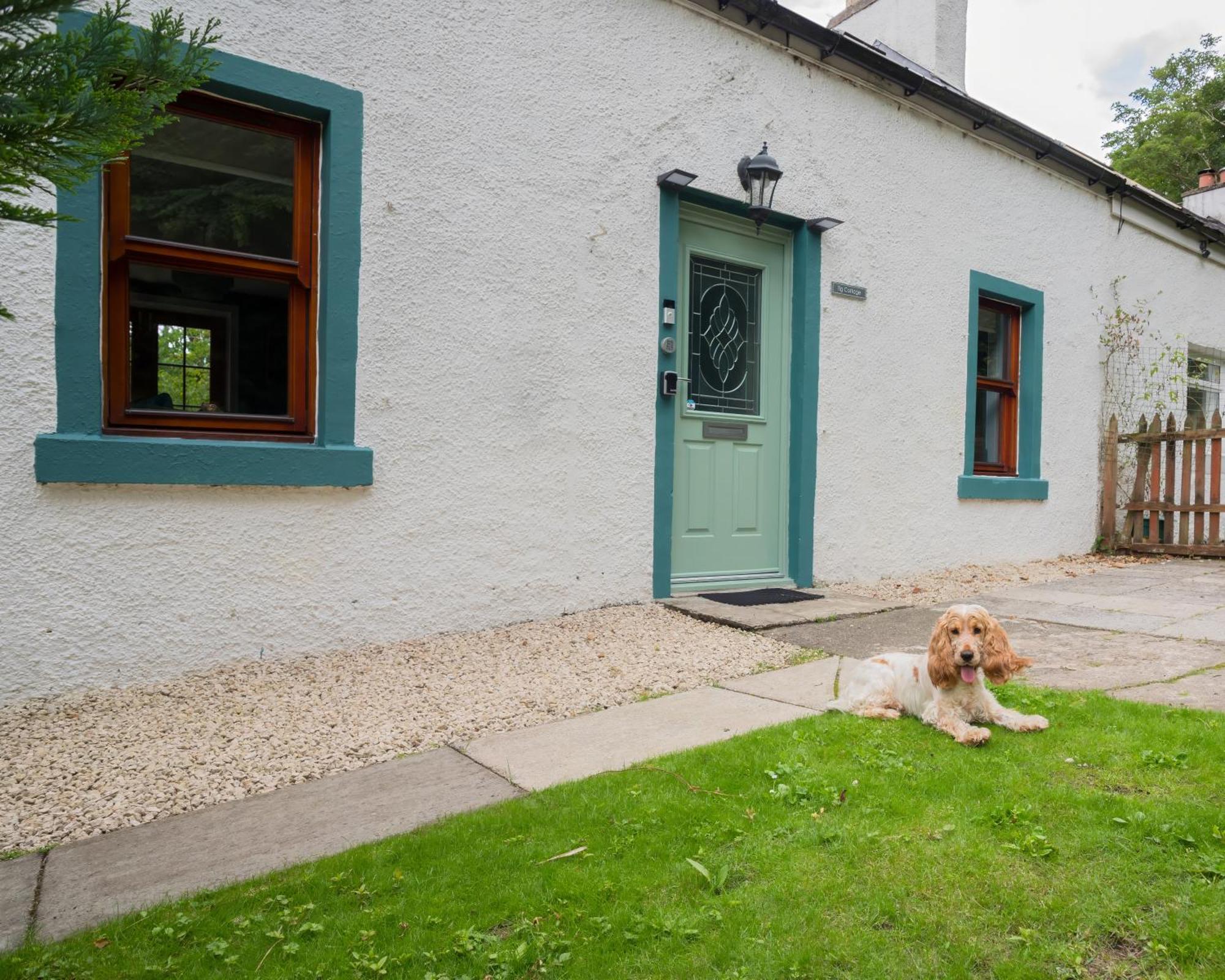 Tig Cottage - A Rural, Quirky, Pet Friendly 2 Bedroom Cottage Near Ballantrae Exterior foto